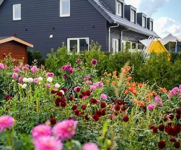 Wilgenhart Bed & Breakfast Gilze