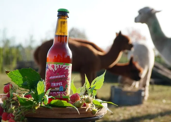 Oda ve Kahvaltı Wilgenhart *